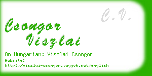 csongor viszlai business card